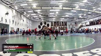 184 lbs Round 4 (6 Team) - Drake Hurley, Adrian vs Troy McClelland, Seton Hill University