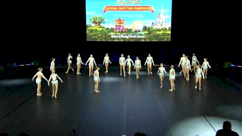 The Vision Dance Center [2018 All Star Youth Jazz - Large] UDA National Dance Team Championship
