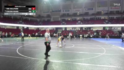 113 lbs Champ. Round 1 - Tre Hallford, Meridian vs Colton Fehrs, Ridgevue