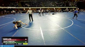 85 lbs Cons. Round 2 - Tegan Umbaugh, Team Valley Wrestling Club vs Quinn Lane, Powerhouse Wrestling Club