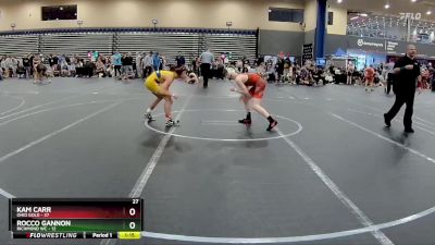 115 lbs Round 2 (4 Team) - Kam Carr, Ohio Gold vs Rocco Gannon, Richmond WC