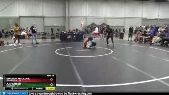 138 lbs Semis & 3rd Wb (16 Team) - Smokey McClure, Washington vs AJ Parrish, Nebraska