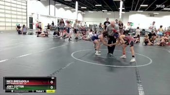 84 lbs Round 5 (6 Team) - Joey Cotter, CTWHALE vs Nico Bresadola, Mat Warriors Red