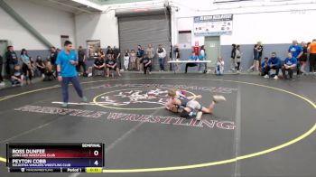 83 lbs Semifinal - Peyton Cobb, Soldotna Whalers Wrestling Club vs Ross Dunfee, Lions Den Wrestling Club