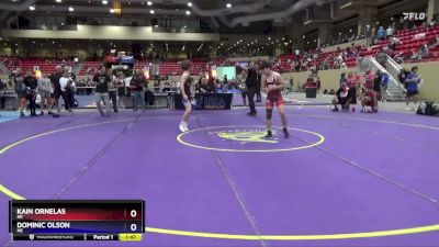 119 lbs Semifinal - Kain Ornelas, NE vs Dominic Olson, NE