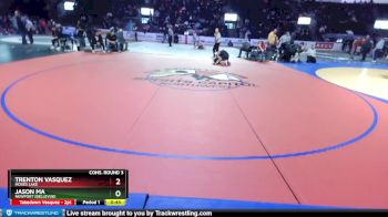 132 lbs Cons. Round 3 - Jason Ma, Newport (Bellevue) vs Trenton Vasquez, Moses Lake