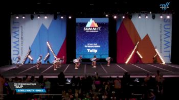The Stingray Allstars - Tulip [2025 L2 Youth - Small Day 1] 2025 The Youth Summit