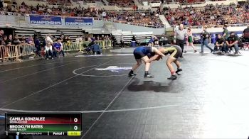 D2-138 lbs Cons. Round 2 - Brooklyn Bates, Chino Valley vs Camila Gonzalez, Douglas High