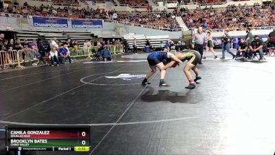 D2-138 lbs Cons. Round 2 - Brooklyn Bates, Chino Valley vs Camila Gonzalez, Douglas High