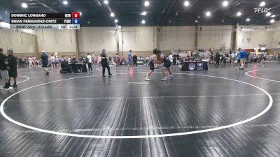 215 lbs 3rd Place - Dominic Longano, Beebe Trained vs Brian Fernandez-Oritz, Panther Legacy