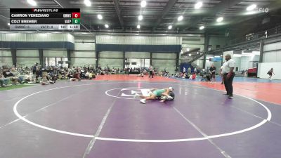 103 lbs Rr Rnd 4 - Camron Veneziano, Gold Medal WC - BHS vs Colt Brewer, Virginia Team Predator - BHS