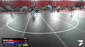 83 lbs Cons. Semi - Brodey Lewis, WI vs Cam Whitehead, IL