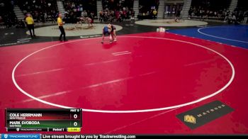 138 lbs Cons. Round 1 - Cole Herrmann, New Prague vs Mark Svoboda, Hastings
