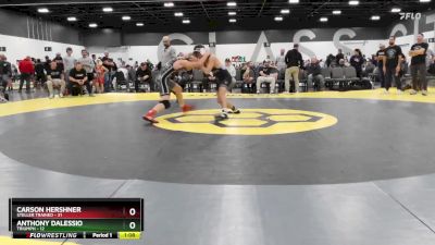 129 lbs Round 3 (6 Team) - Carson Hershner, Steller Trained vs Anthony Dalessio, Triumph