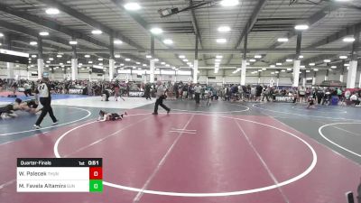 40 lbs Quarterfinal - Weston Palecek, Thundercats WC vs Molly Favela Altamirano, Sunnyside WC
