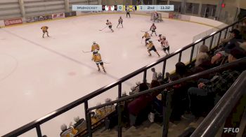 Replay: Home - 2024 SEAC Tigers vs STA Sabres | Feb 2 @ 2 PM