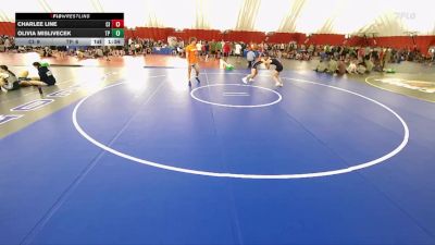 120 lbs Round 4 (10 Team) - Charlee Line, Cambridge-Isanti vs Olivia Mislivecek, Reedsburg