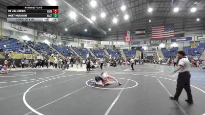 132 lbs Consi Of 8 #2 - Ej Hallberg, Cherry Creek vs Kolt Hudson, Hastings Wrestling Club