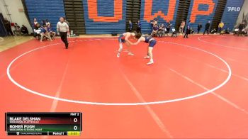 165 lbs Cons. Round 2 - Blake Delsman, Wisconsin-Platteville vs Romer Pugh, Wisconsin-Stevens Point