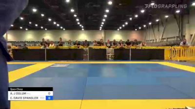 ALBERT J OGLUM vs CONRAD DAVID SPANGLER II 2022 World Master IBJJF Jiu-Jitsu Championship