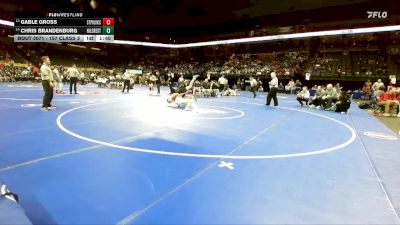 157 Class 3 lbs Champ. Round 1 - Gable Gross, St. Pius X (Kansas City) vs Chris Brandenburg, Hillcrest