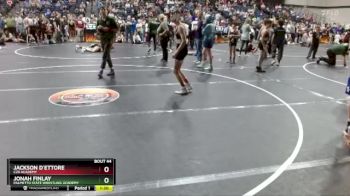 108 lbs Semifinal - Jonah Finlay, Palmetto State Wrestling Academy vs Jackson D`Ettore, C2X Academy