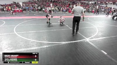 100 lbs Semifinal - Tate Lindner, IGH Youth Wrestling vs Brody Brandt, Whitelaw Warriors
