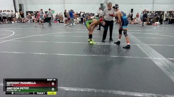 113 lbs Round 4 (8 Team) - Anthony Panarella, GPS vs Greyson Pettit, Myland WA