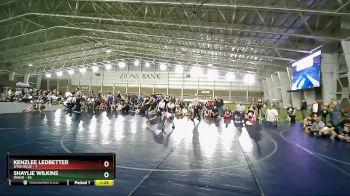 55 lbs Round 2 (4 Team) - Shaylie Wilkins, Idaho vs Kenzlee Ledbetter, Utah Blue