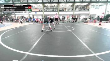 125-133 lbs 5th Place Match - Cole Teran, Alber Athletics vs Dylan Woolsey, SouthStrong