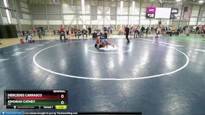 110 lbs Semifinal - Mercedes Carrasco, IL vs KiMorah Cathey, OK