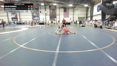 113 lbs Consi Of 8 #1 - Caleb Hummel, PA vs Tristan Levin, NY