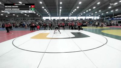 220 lbs Quarterfinal - Michael Mauro, NY vs Ashton Honnold, IA