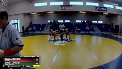 133 lbs Quarterfinal - Dean Anderson, Valiant vs Dagen Lamano, Snow College