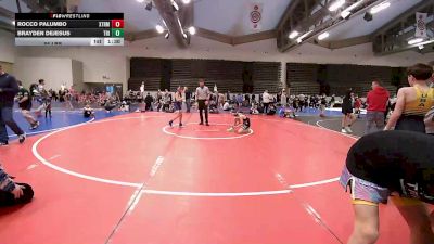 89 lbs Rr Rnd 3 - Rocco Palumbo, Xtreme Desire vs Brayden DeJesus, Triumph Trained Blue