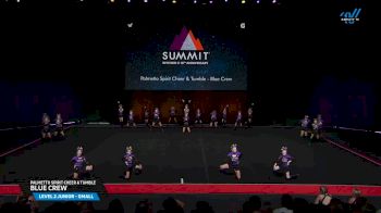 Palmetto Spirit Cheer & Tumble - Blue Crew [2025 L2 Junior - Small Prelims] 2025 The D2 Summit