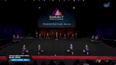 Palmetto Spirit Cheer & Tumble - Blue Crew [2025 L2 Junior - Small Prelims] 2025 The D2 Summit