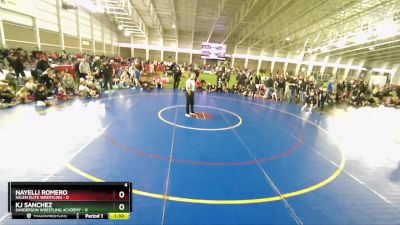 45 lbs Round 2 (4 Team) - KJ Sanchez, Sanderson Wrestling Academy vs Nayelli Romero, Salem Elite Wrestling