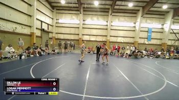 145 lbs Quarters & Wb (16 Team) - Dillon Le, Oregon 2 vs Logan Memmott, Utah Black