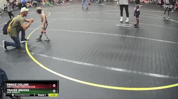 50 lbs Quarterfinal - Prince Collins, West Wateree Wrestling Club vs Tracer Brooks, Dixie Hornets