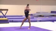 Shae Zamardi Floor (9.825) - LSU Fall Intrasquad 2016