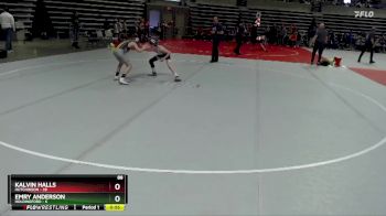 88 lbs Placement (4 Team) - Kalvin Halls, Hutchinson vs Emry Anderson, Holdingford