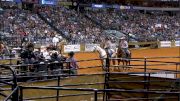 Day 3 Steer Wrestling ERA Worlds