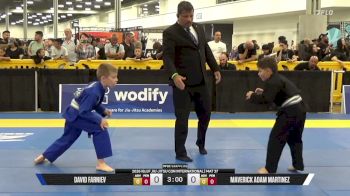 Maverick Adam Martinez vs David Farniev 2026 IBJJF Jiu-Jitsu CON International
