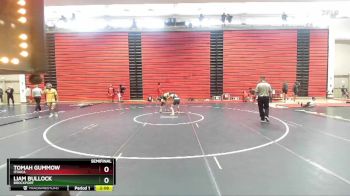 125 lbs Semifinal - Liam Bullock, Brockport vs Tomah Gummow, Ithaca