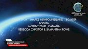 Cheer Sport Sharks Newfoundland - Bomber Sharks [2026 L6 U18 Coed Non Tumbling Semis] 2026 The Cheerleading Worlds