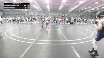 65 lbs Rr Rnd 2 - Vincenzo Destefano, All-American Wrestling Club Red vs Brodey Green, Ohio Gold