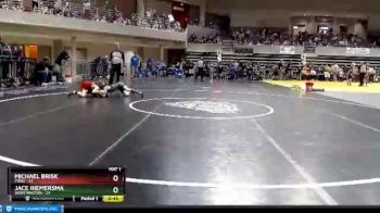 75 lbs Finals (8 Team) - Michael Brisk, Pierz vs Jace Riemersma, Worthington