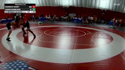 132 lbs Round 1 (8 Team) - Dominick Bagby, Waverly-Shell Rock vs Aaron Danielson, Buffalo