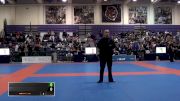 Erine Herle vs Fernanda Silva IBJJF 2016 New York BJJ Pro